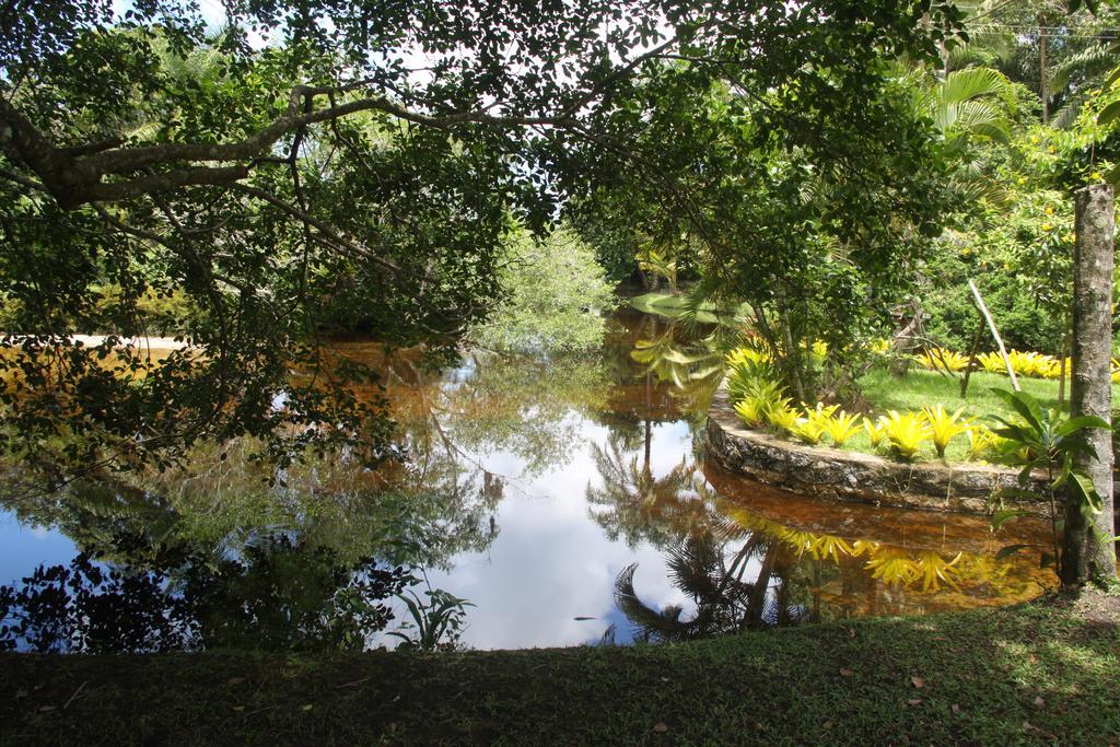 Resort Tororomba Olivença Kültér fotó
